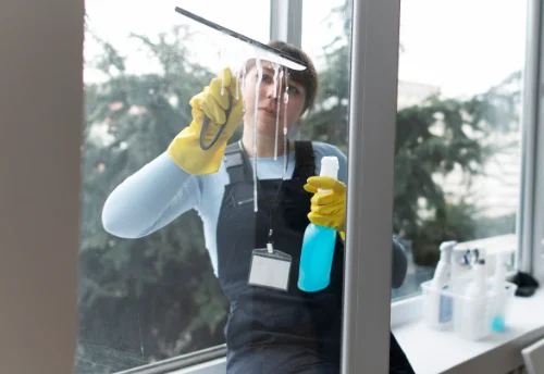 Nettoyage de vitres intérieures et extérieures à Sathonay-Camp